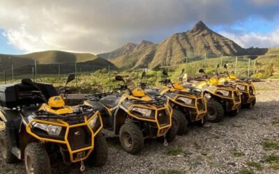 EXCURSIÓN RUTA AL TEIDE 3 HORAS